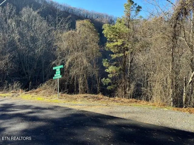 n/a Balsam Slopes Rd, Sevierville, TN 37862 - Image #1