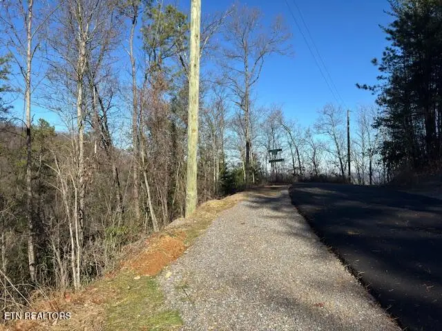 n/a Balsam Slopes Rd, Sevierville, TN 37862 - Image #3
