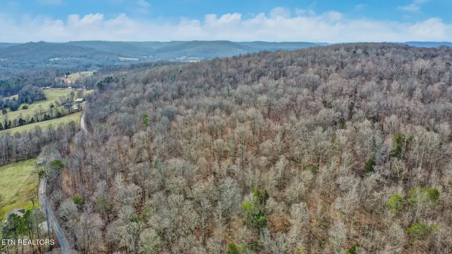 Shellotte Loop, Pall Mall, TN 38577 - Image #2