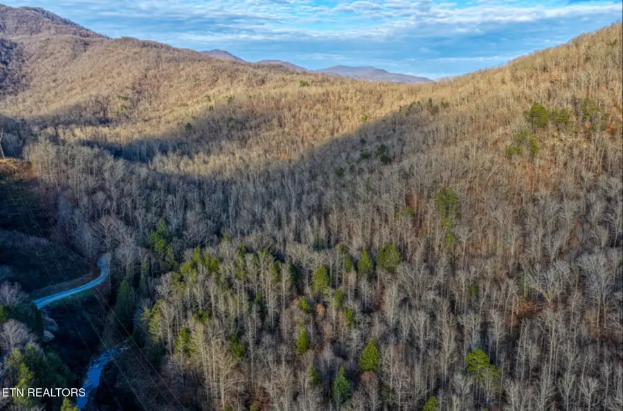 0 Hoskins Gap Rd, Oliver Springs, TN 37840 - Image #3