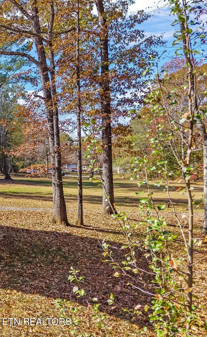 232 Sweeney Rd, Benton, TN 37307 - Image #3