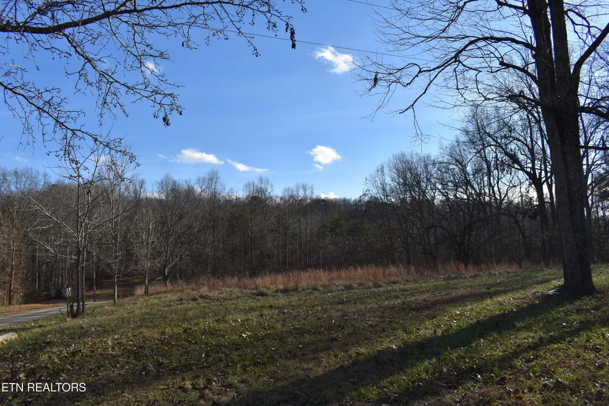 40 & 41 Bark Lane, Speedwell, TN 37870 - #1