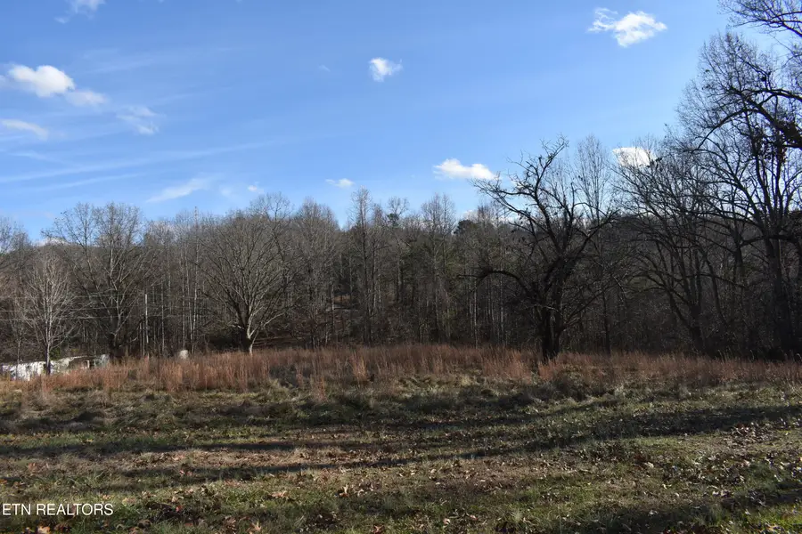 40 & 41 Bark Lane, Speedwell, TN 37870 - #2