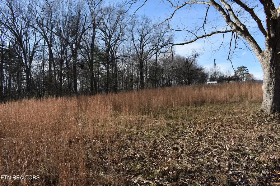 40 & 41 Bark Lane, Speedwell, TN 37870 - #3