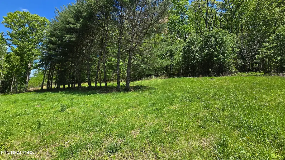 Dooley Hollow Rd, Ewing, VA 24248 - Image #1