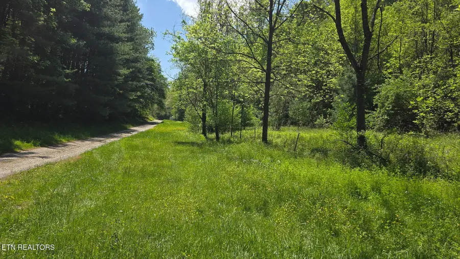 Dooley Hollow Rd, Ewing, VA 24248 - Image #3