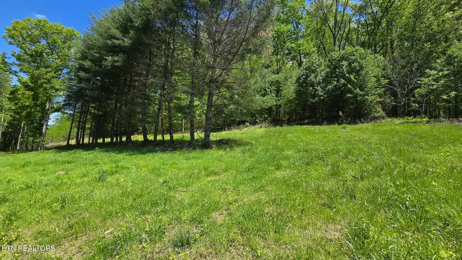 Dooley Hollow Rd, Ewing, VA 24248 - #3