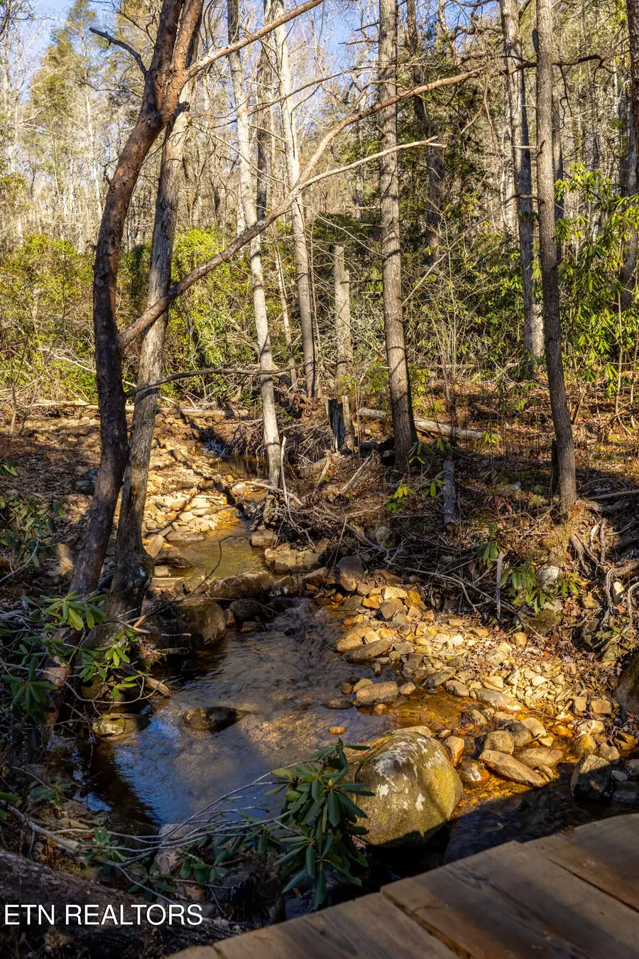 560 Bullet Creek Rd, Reliance, TN 37369 - Image #2