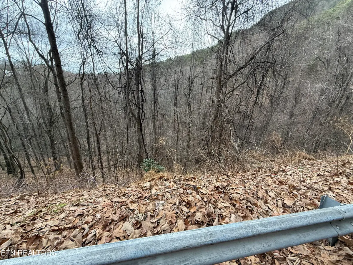 Lot 34 Alpine Drive, Sevierville, TN 37876 - Image #1