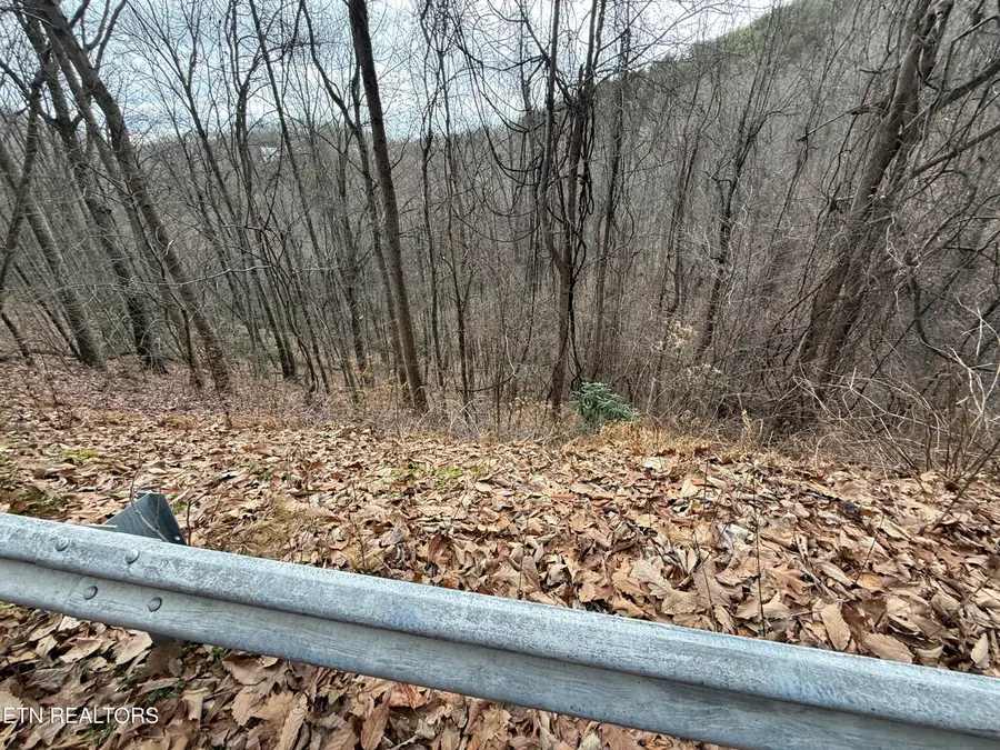 Lot 34 Alpine Drive, Sevierville, TN 37876 - Image #2