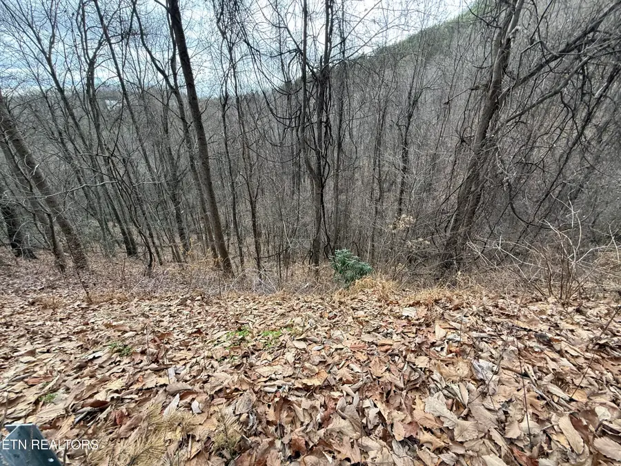 Lot 34 Alpine Drive, Sevierville, TN 37876 - Image #3