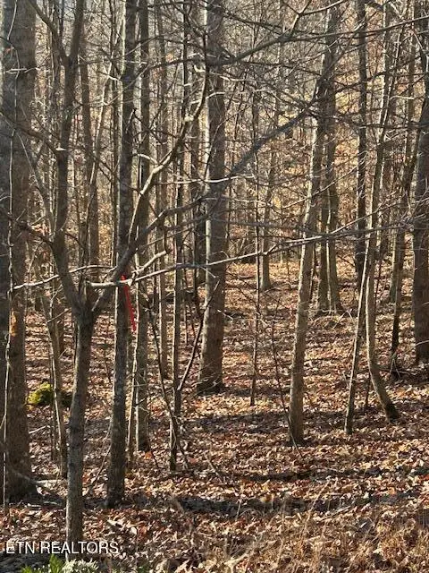 Whistle Valley Rd, New Tazewell, TN 37825 - Image #1