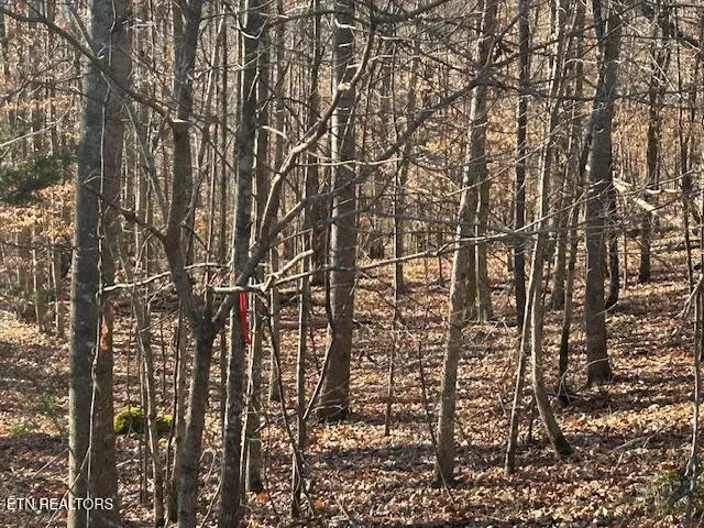 Whistle Valley Rd, New Tazewell, TN 37825 - Image #2