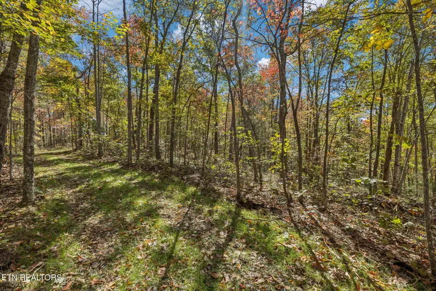 Sheep Ranch Rd, Robbins, TN 37852 - Image #3