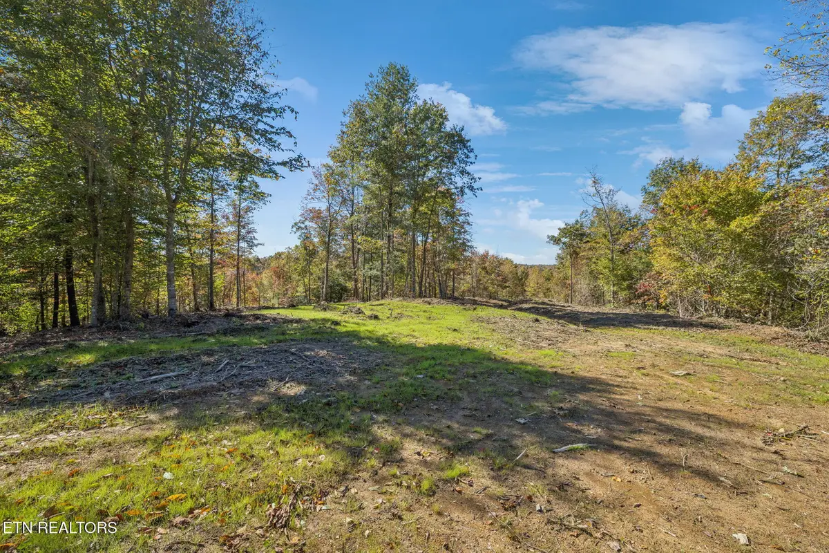 Sheep Ranch Rd, Robbins, TN 37852 - Image #1
