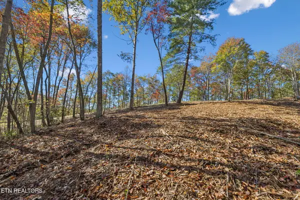 Sheep Ranch Rd., Robbins, TN 37852