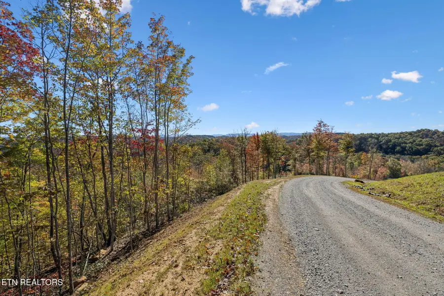 Sheep Ranch Rd., Robbins, TN 37852 - Image #3