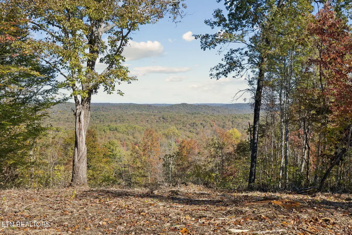 Sheep Ranch Rd., Robbins, TN 37852 - Image #1