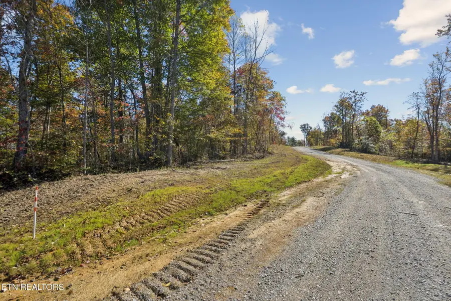 Sheep Ranch Rd., Robbins, TN 37852 - Image #3
