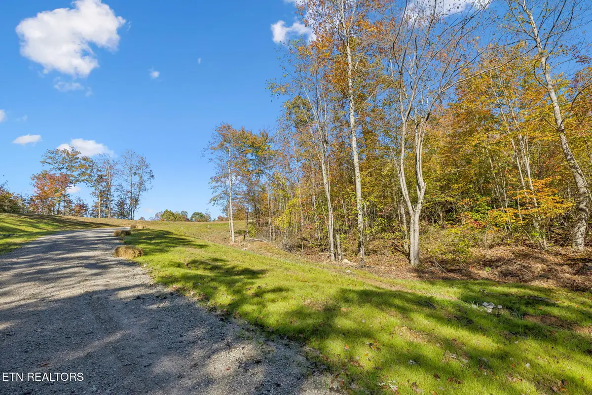 Sheep Ranch Road, Robbins, TN 37852 - Image #1