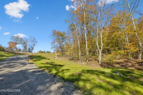 Sheep Ranch Road, Robbins, TN 37852