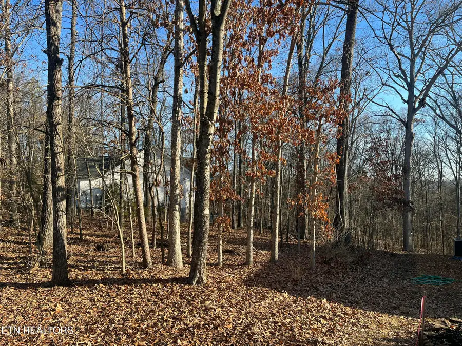 221 Ootsima Way, Loudon, TN 37774 - Image #2