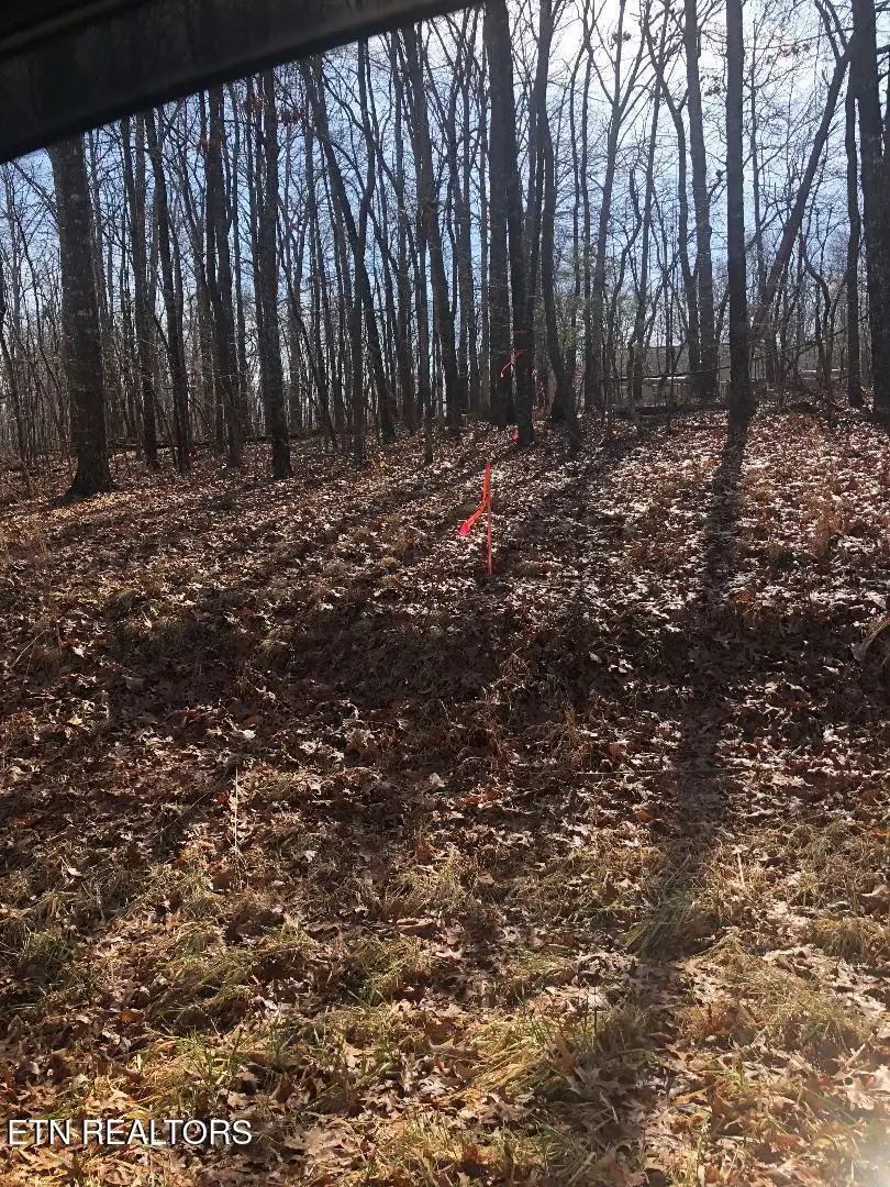 5248 Pawnee Rd, Crossville, TN 38572 - #3