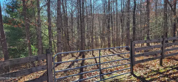Lot # 170 Saddle Dr, Jamestown, TN 38556