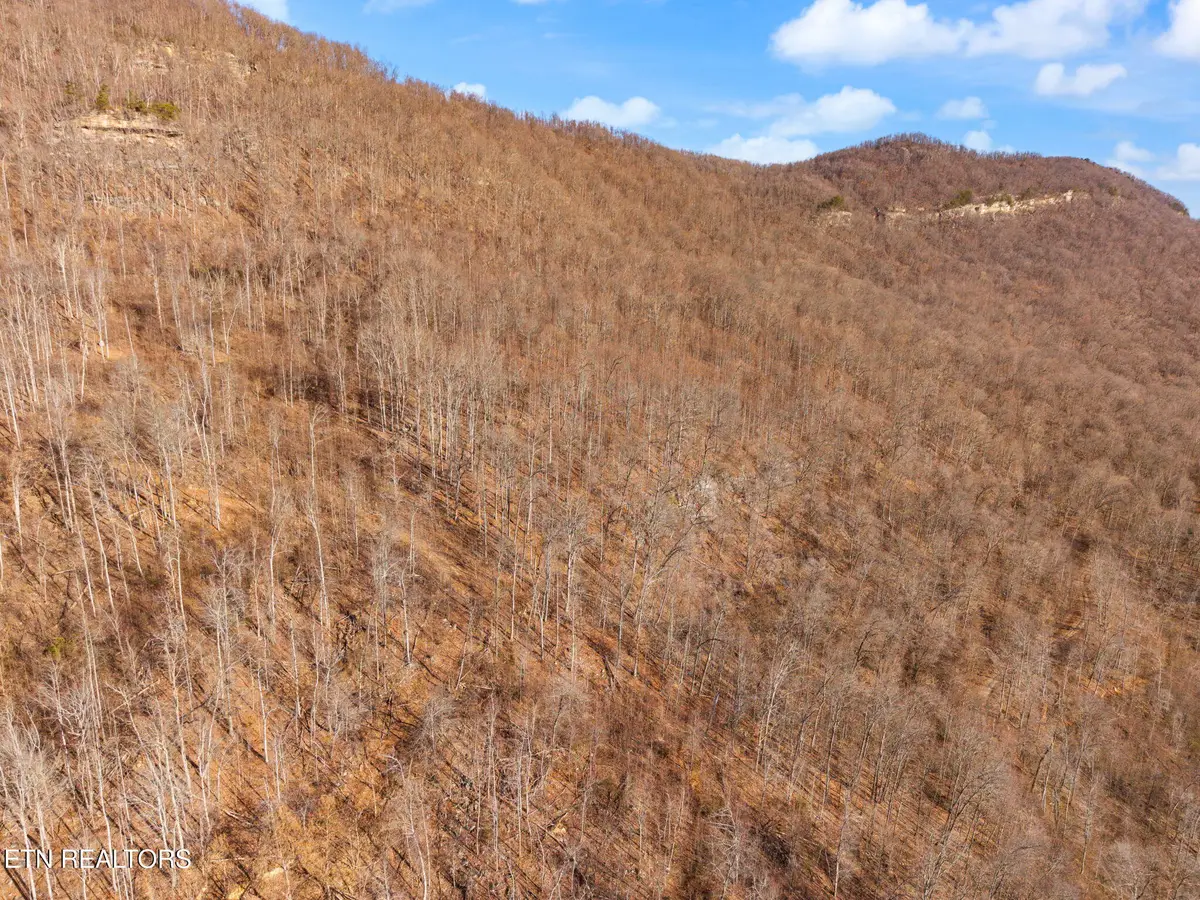 Greene Lane E Of, Lafollette, TN 37766 - Image #1