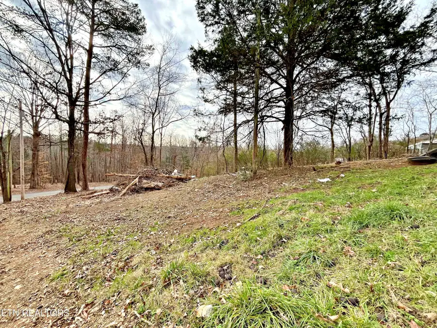 110 Pinecrest Drive, Loudon, TN 37774 - Image #3