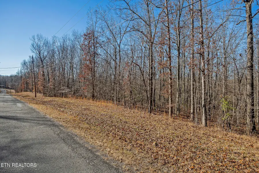 4 Acres E Overlook Rd, Monterey, TN 38574 - Image #3