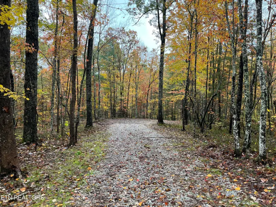 000 W Wilderness Tr, Oneida, TN 37841 - Image #2