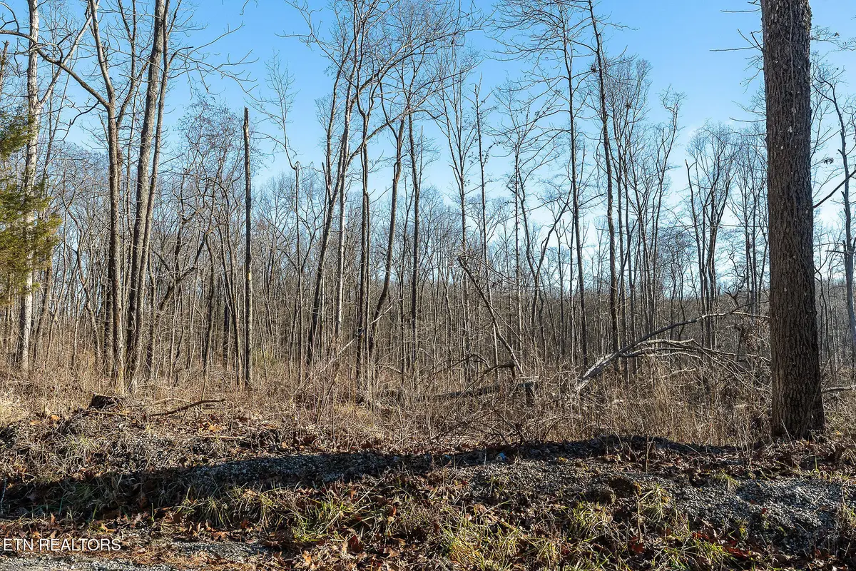 Valley View Rd, Crossville, TN 38572 - #1