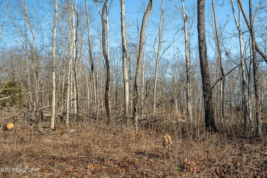 Valley View Rd, Crossville, TN 38572 - #2