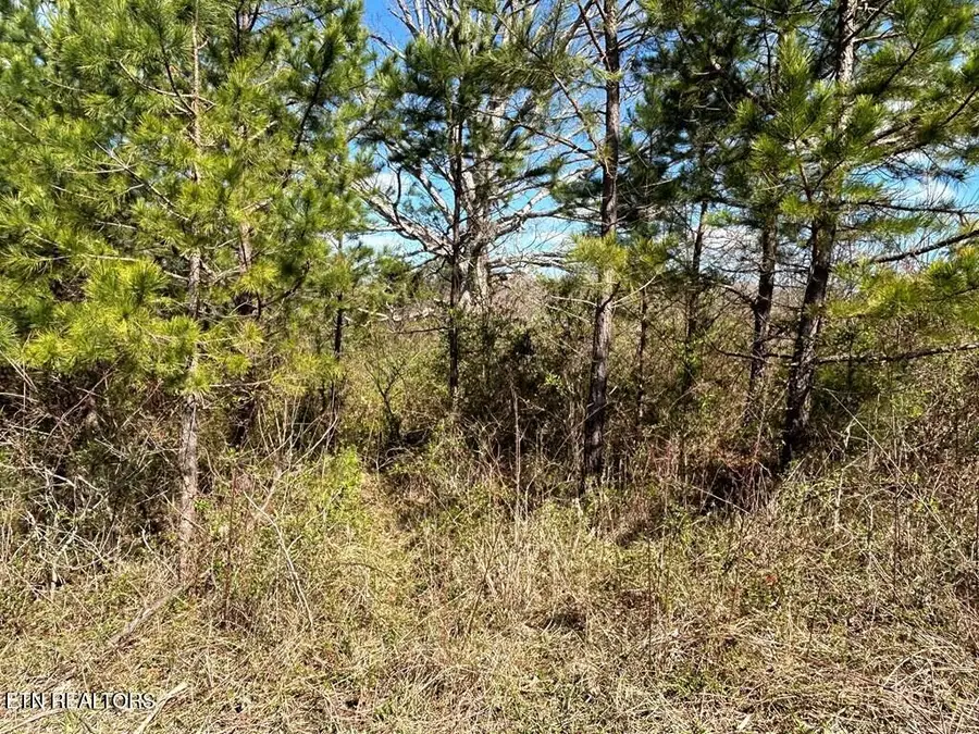 Holt Spur Drive, Jamestown, TN 38556 - #2