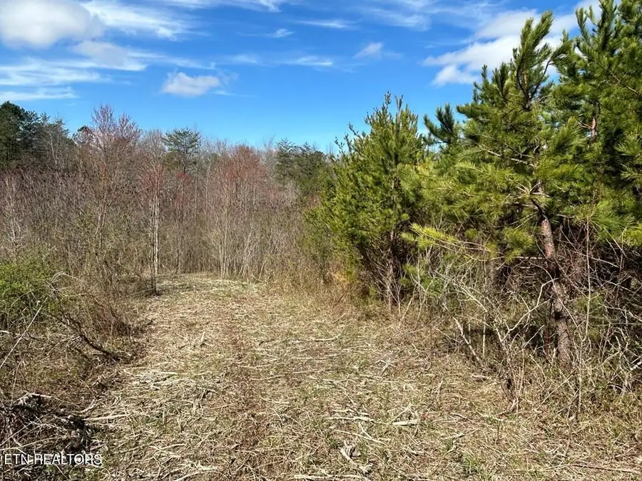 Holt Spur Drive, Jamestown, TN 38556 - #3