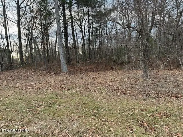 684 Westchester Drive, Crossville, TN 38558 - #3