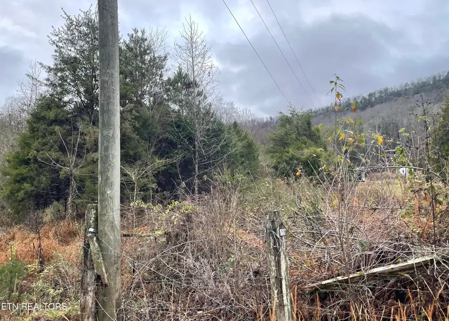 Reagan Valley Rd, Tellico Plains, TN 37385 - Image #2