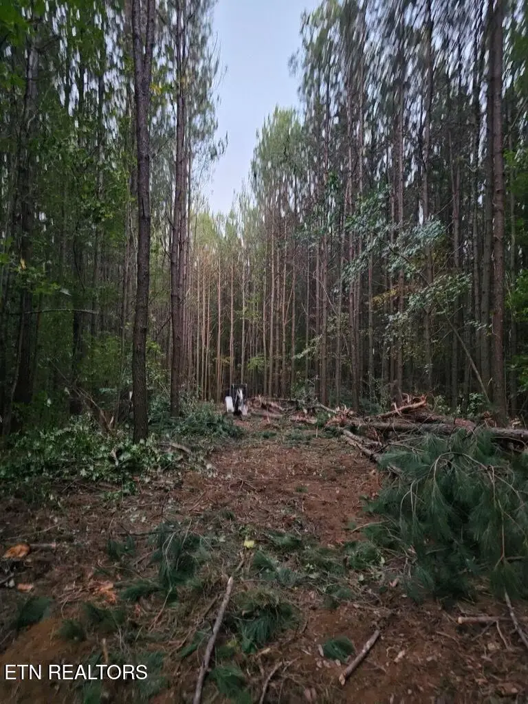 1050 Mt Vernal Rd, Rockwood, TN 37854 - Image #1