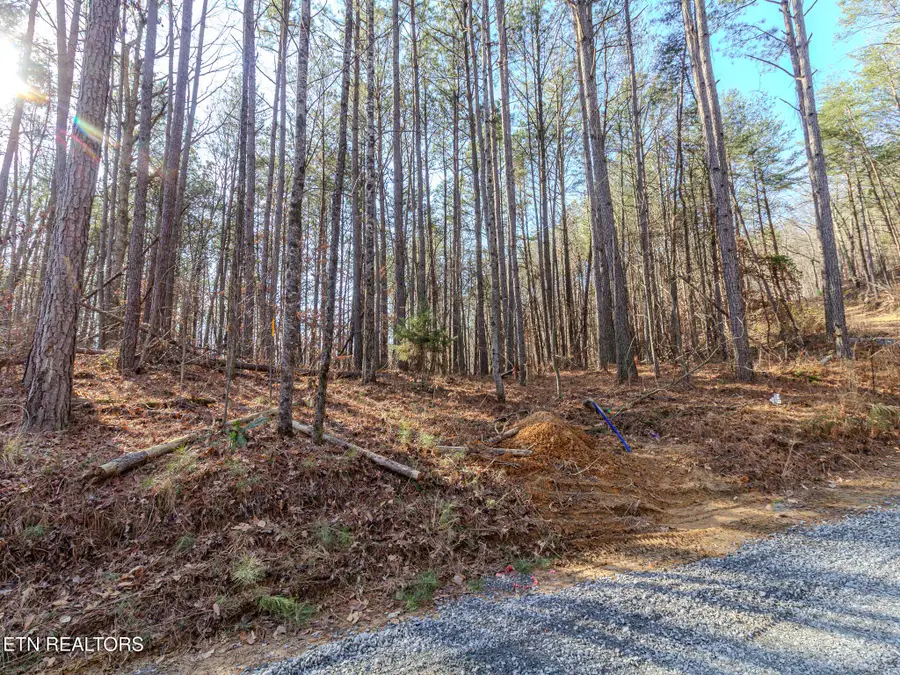 Lot 5 Parksville Road, Benton, TN 37307 - Image #2