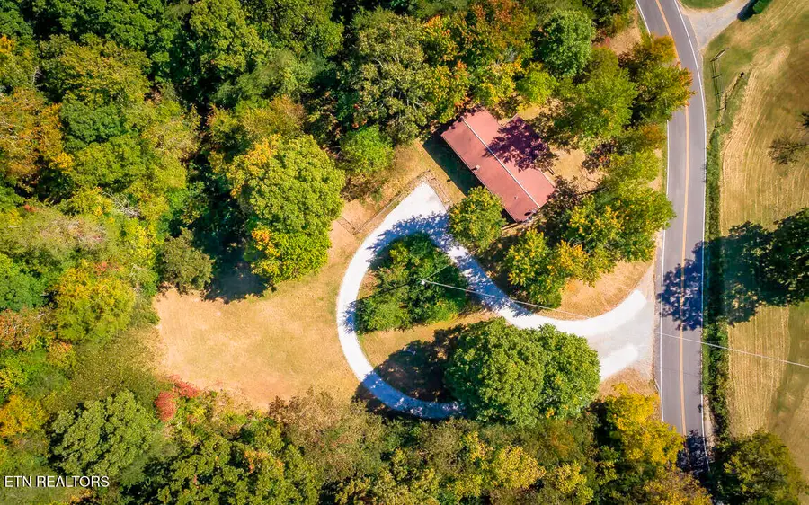 Old Spencer Road - 200 Acres, Pikeville, TN 37367 - Image #2