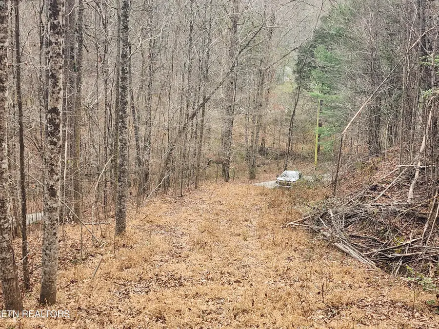 Vann Rd, Harriman, TN 37748 - #2