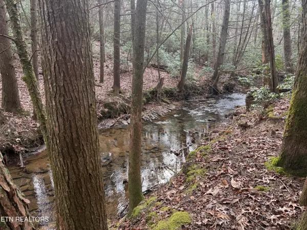 Street Place Loop, Monterey, TN 38574