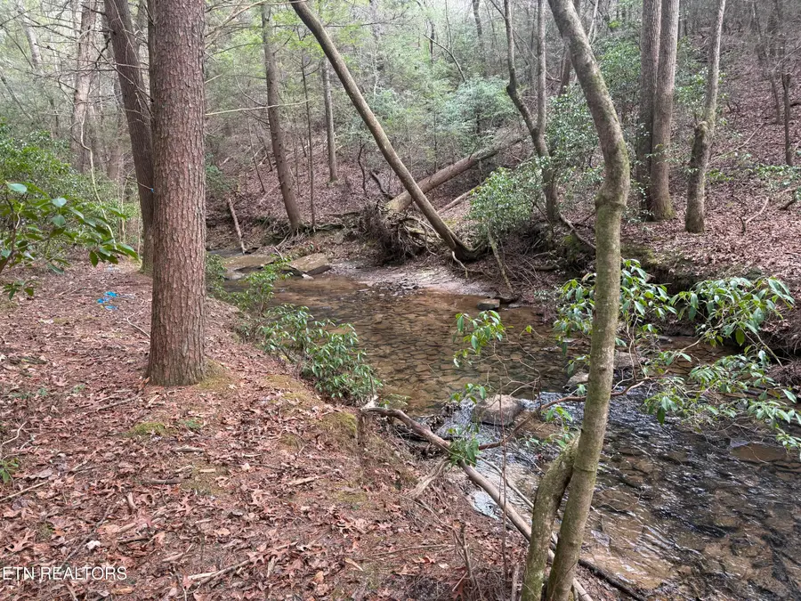 Street Place Loop, Monterey, TN 38574 - Image #2