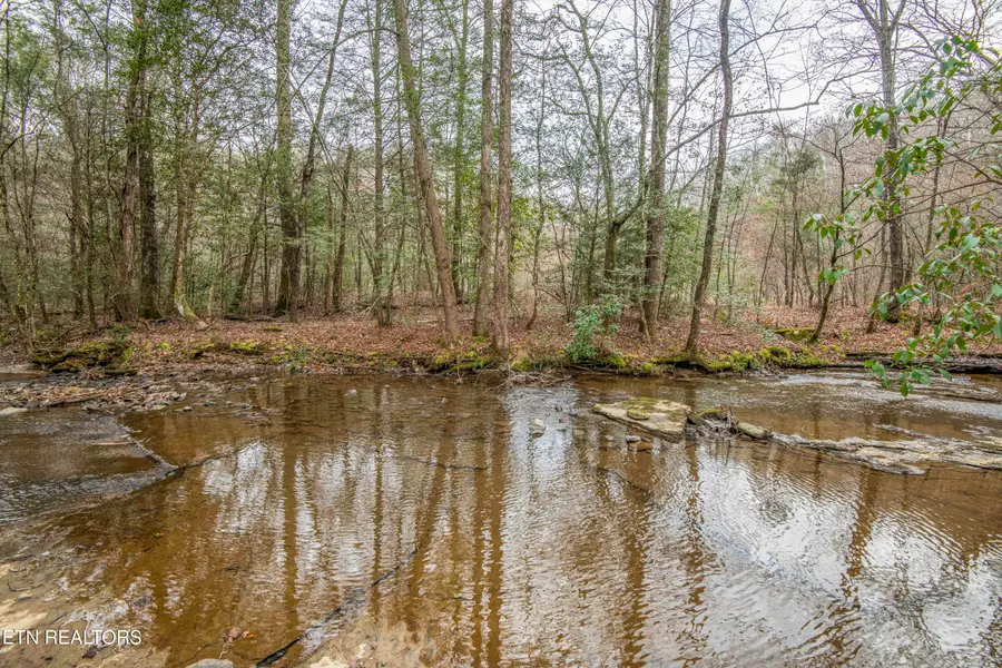 247 Copperhead Rd, Oakdale, TN 37829 - #2