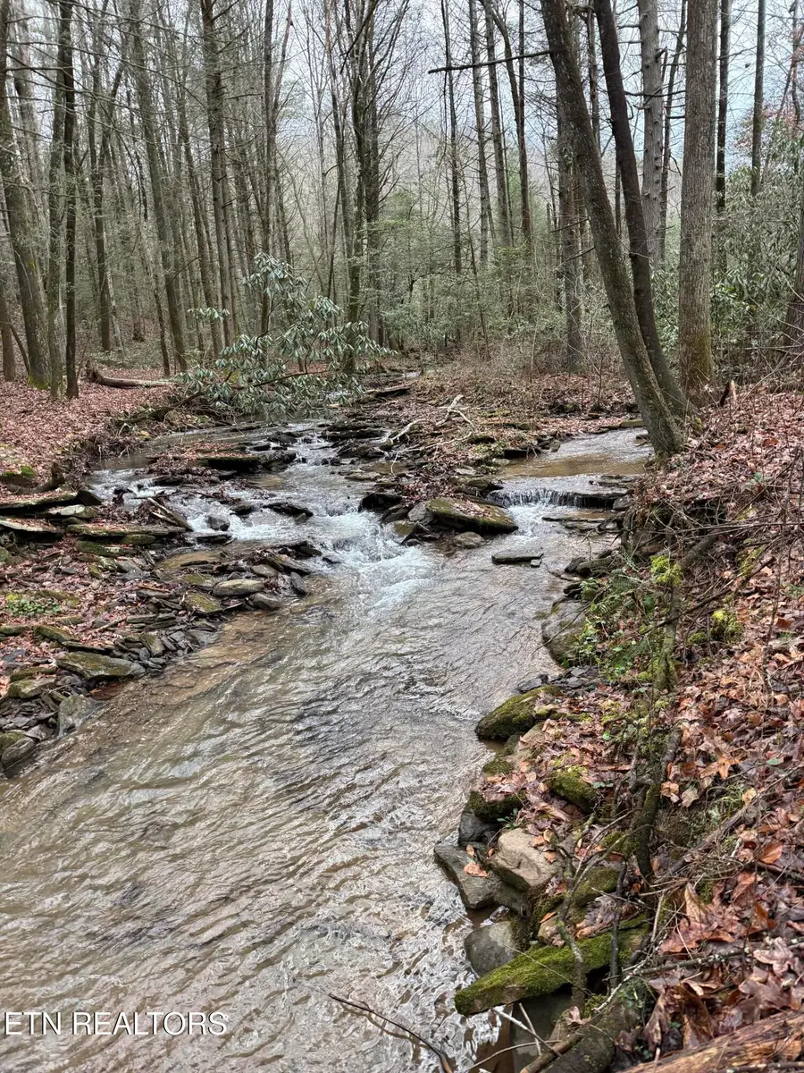 247 Copperhead Rd, Oakdale, TN 37829 - #3