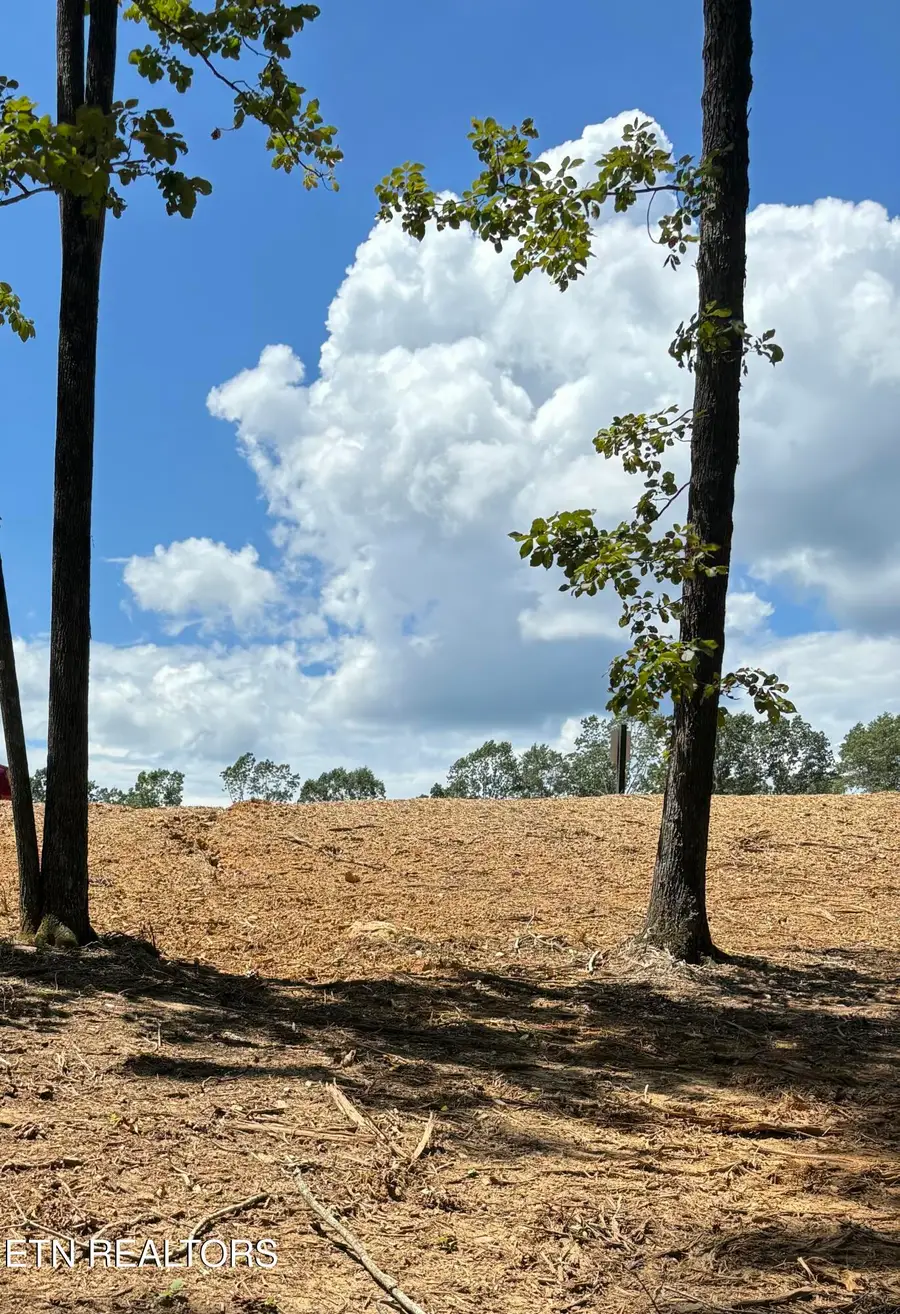 121 Cherry Tree Lane, Loudon, TN 37774 - #3