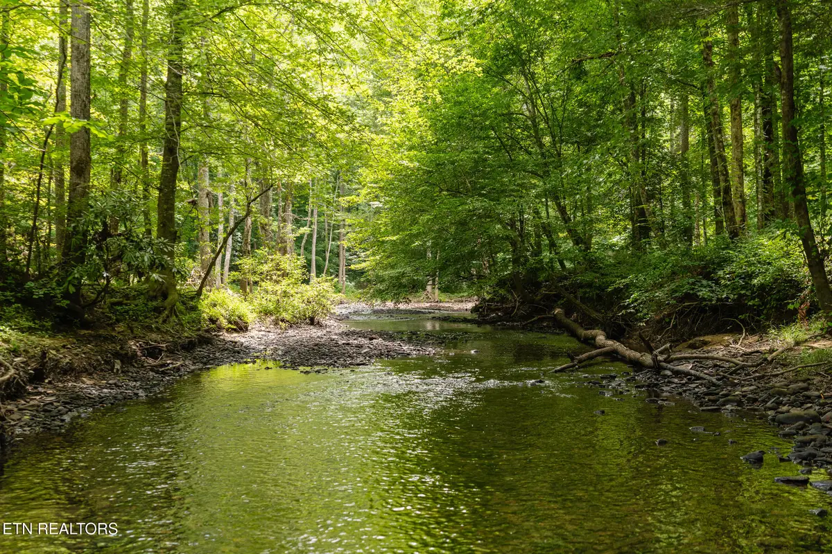 1.92 Ac Steel Tram Ridge Lane, Crawford, TN 38554 - Image #1