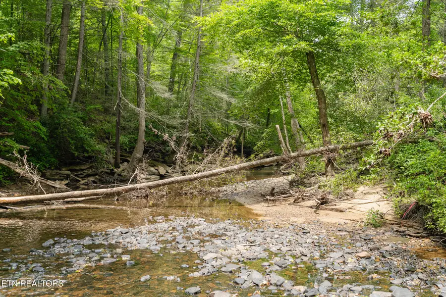 1.92 Ac Steel Tram Ridge Lane, Crawford, TN 38554 - Image #2