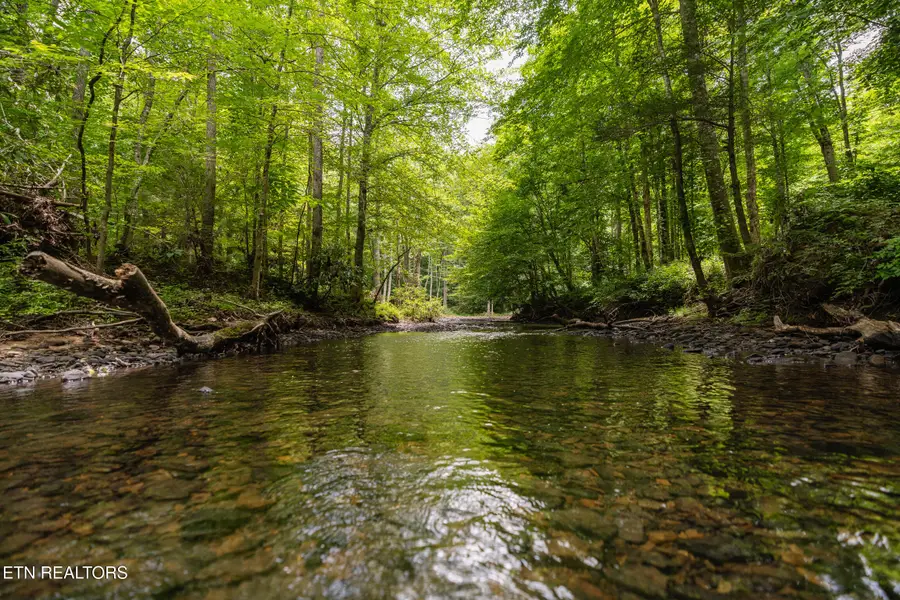 1.92 Ac Steel Tram Ridge Lane, Crawford, TN 38554 - Image #3